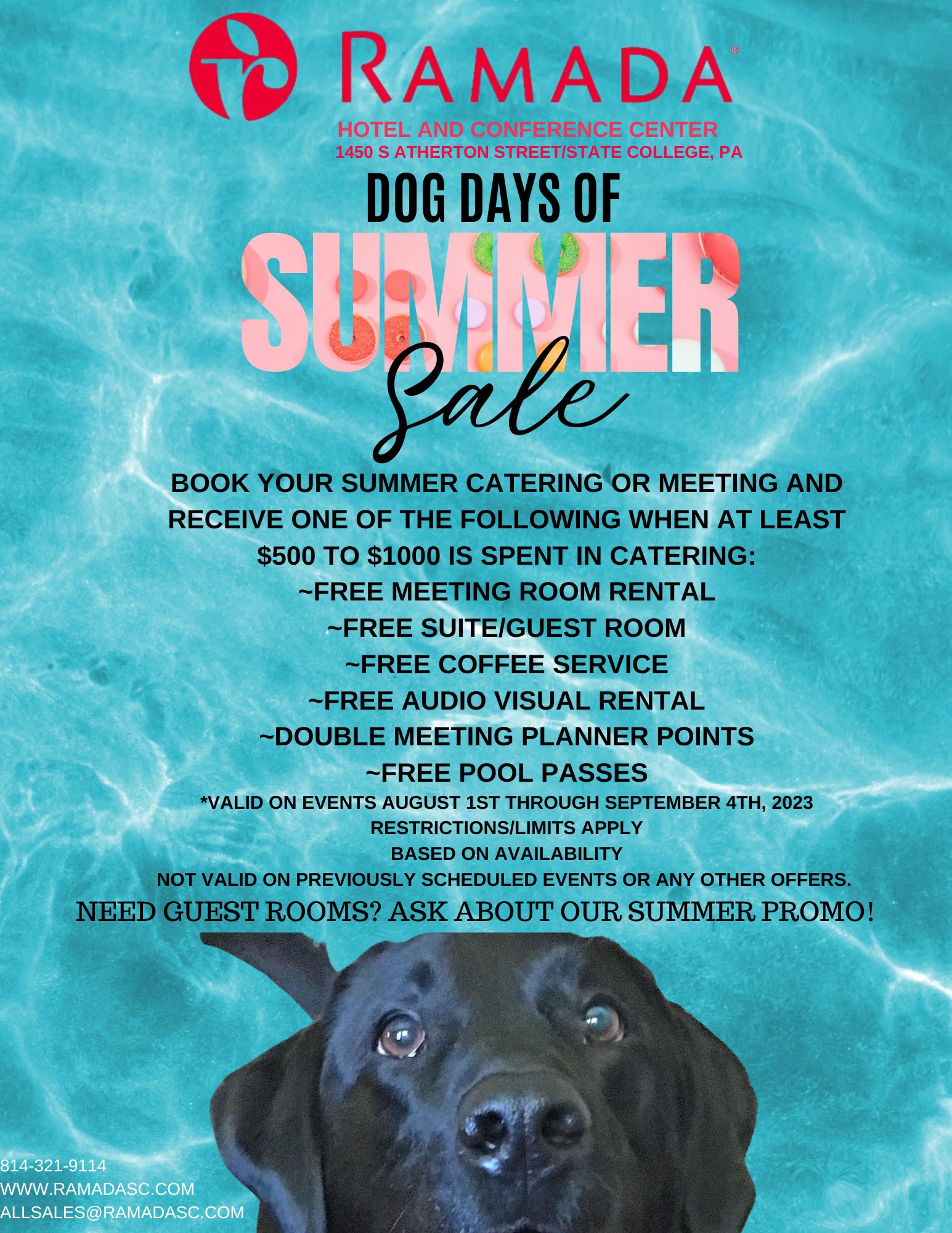 Dog Days Of Summer Sale